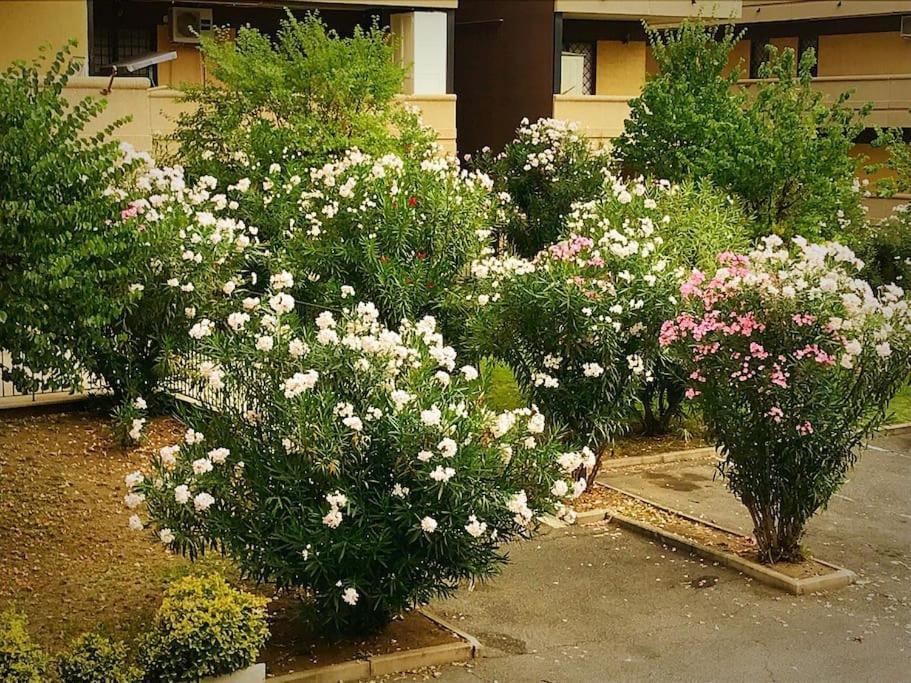 Apartment With Private Parking - Roma Est. Lunghezza Екстериор снимка